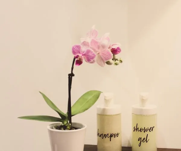 Appartement Santo Da Casa / Sc *