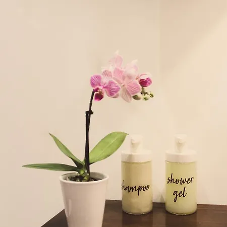 아파트 산토 다 카사 / Sc *