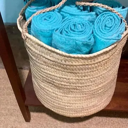 Santo Da Casa / Sc Oporto